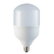 Лампа светодиодная промышленная BULB-T 100W/6500K (E27/40) не бытового назначения - изображение 1